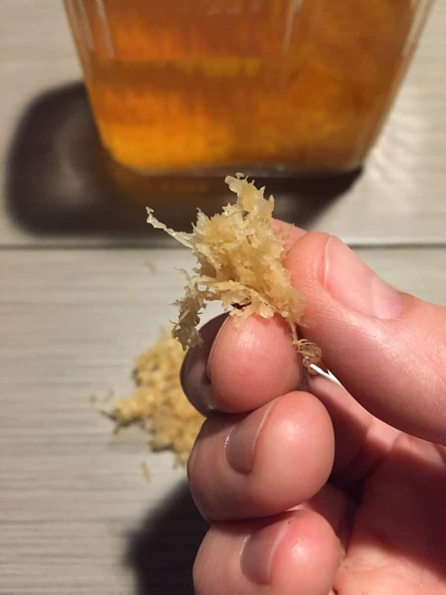 Lemon zest after infusion