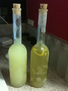 giadalimoncello Giada's Limoncello vs. LimoncelloQuest Recipe