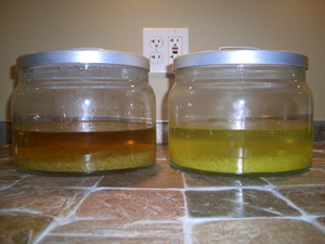 Organic vs. Non-Organic Lemon Infusions