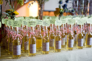 Image courtesy of Steph Stevens Photo